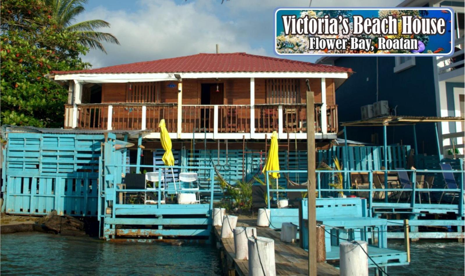 Victoria S Beach House And Snorkeling Center Flowers Bay Bagian luar foto